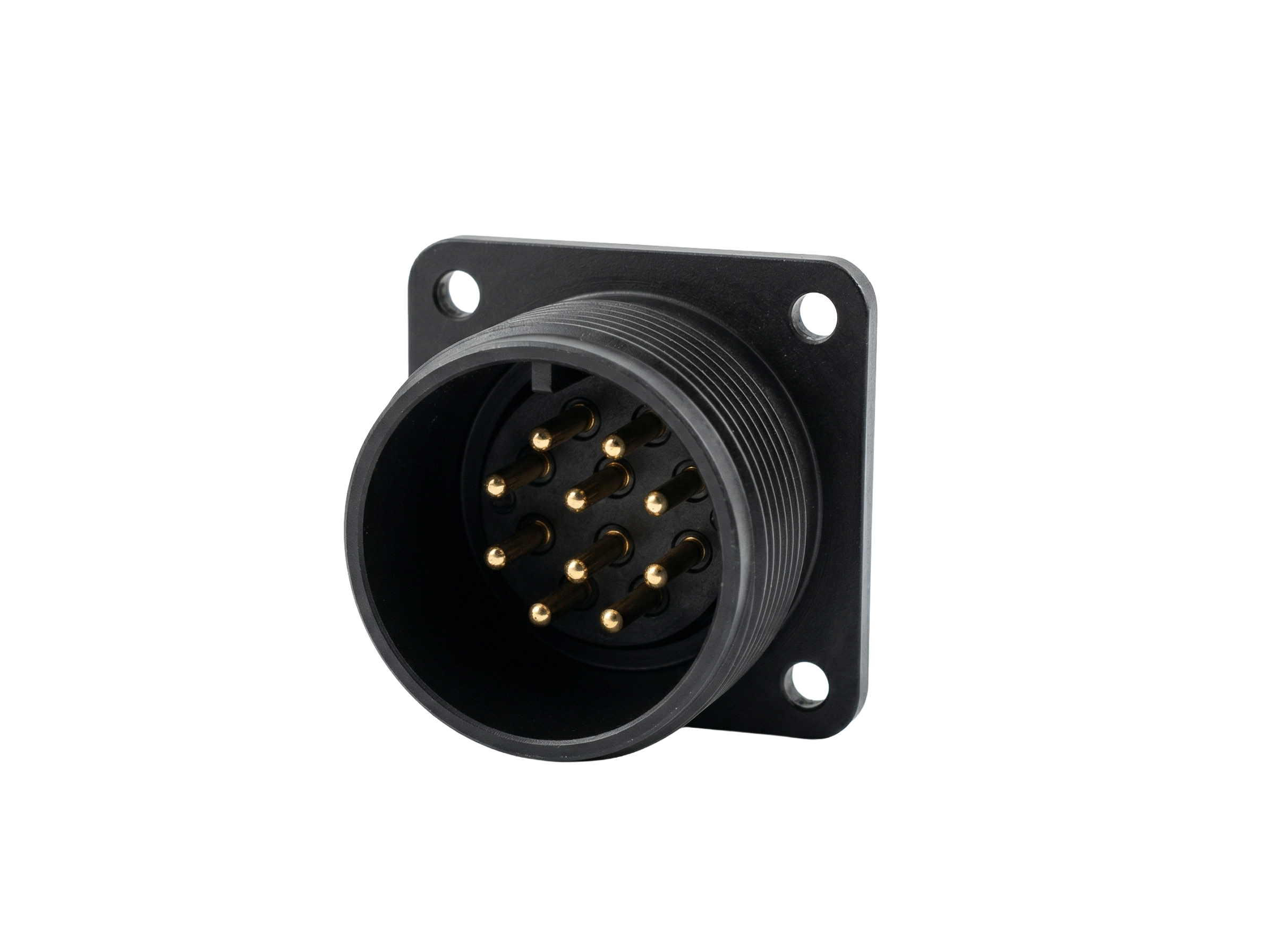 Connettore Maschio 10 Poli — Accessori | Italsensor