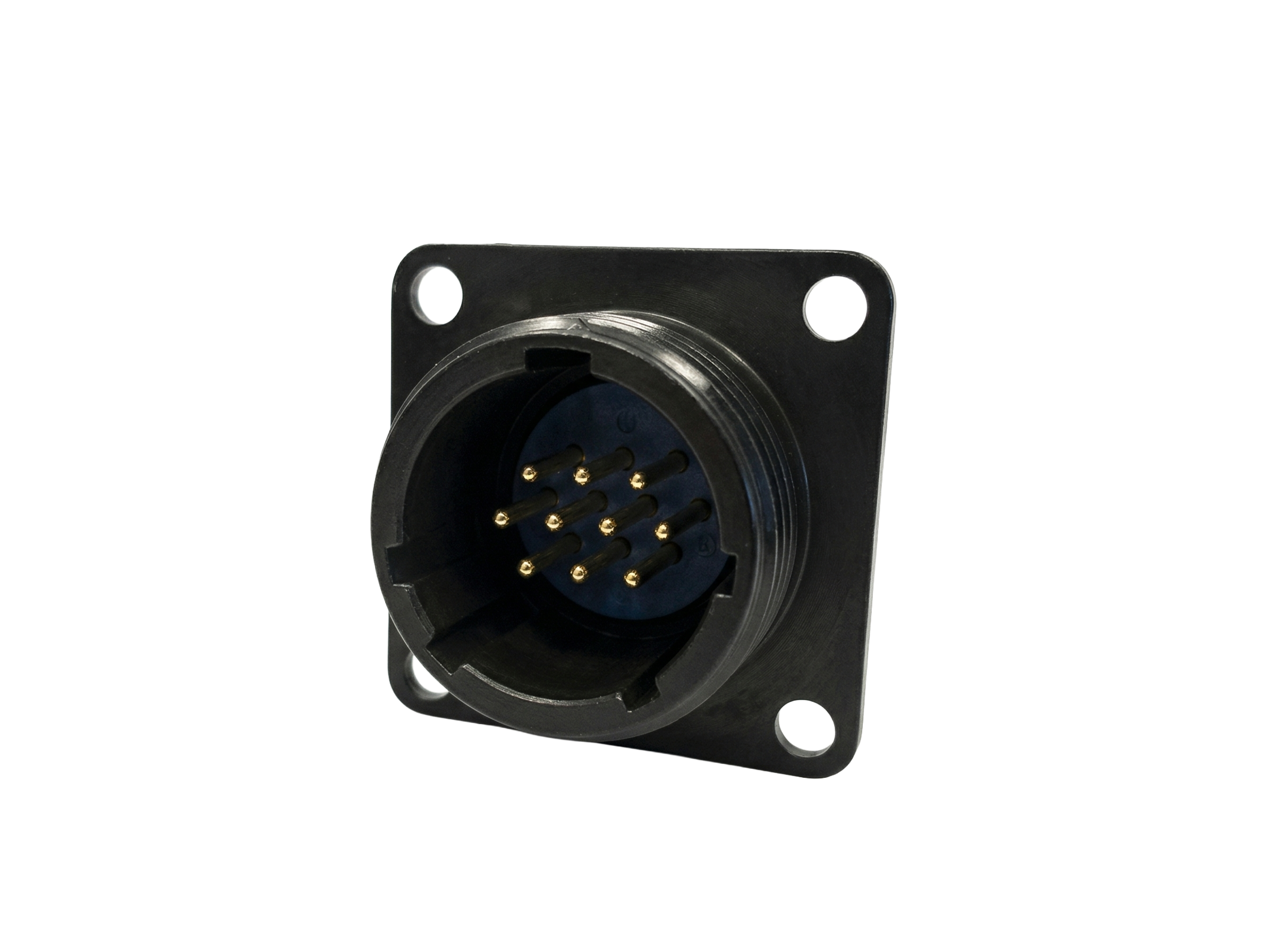 Connettore Maschio Mini 10 Poli — Italsensor